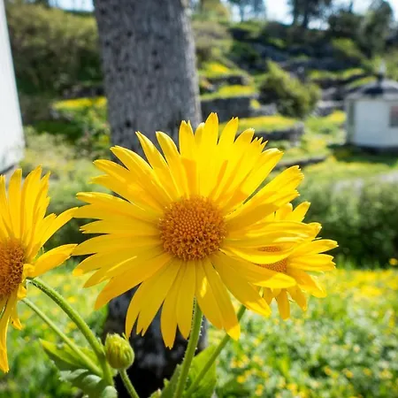 Lofoten Sommerhotell Og