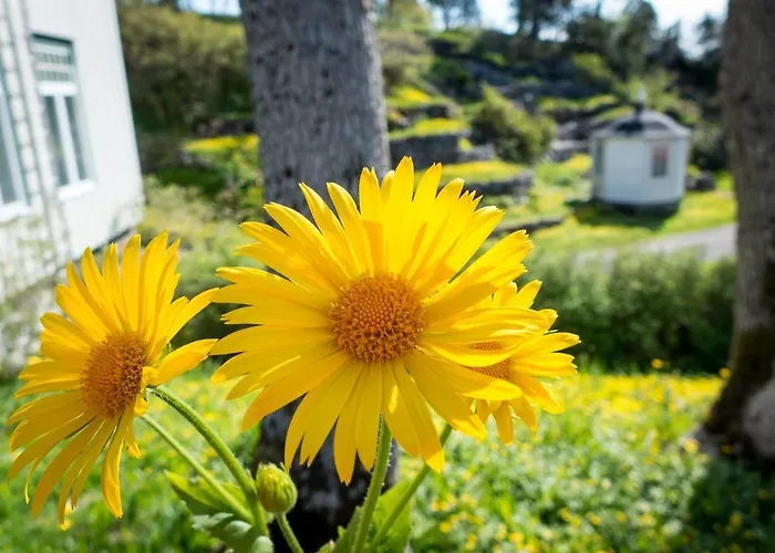 Lofoten Sommerhotell Og