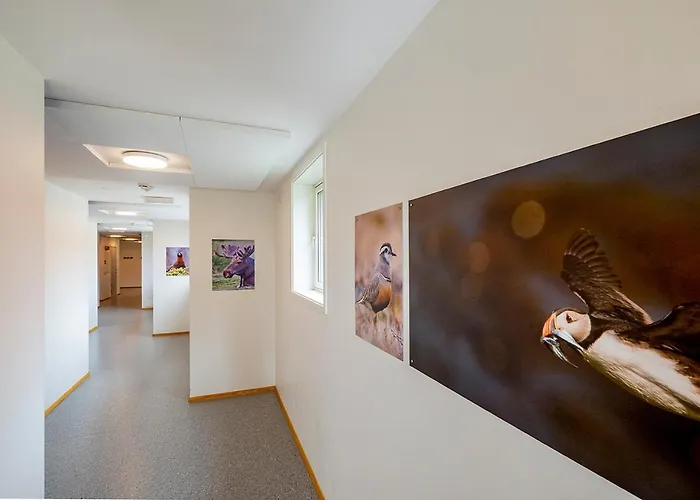 Lofoten Sommerhotell Og * Kabelvåg